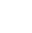 Secure icon
